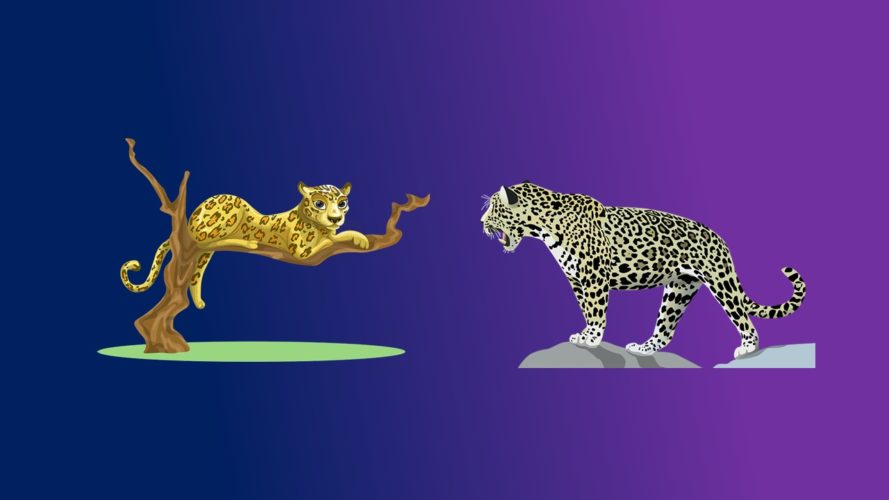 Jaguar Vs Leopard. How to differentiate Jaguar and Leopard? – Ekidstation